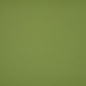 Zonweringdoek Zonneschermdoek Acryldoek Zonwering Zonnescherm orchestra orc 7244 120 amande Groen Lichtgroen Intershades